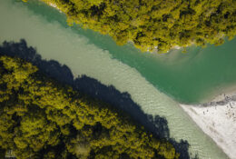 New Zealand 2025 (2 group) (69/84)